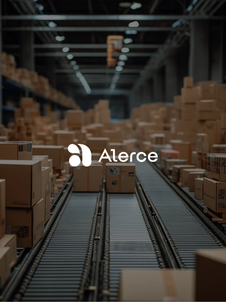 Paquetes en sorter Alerce