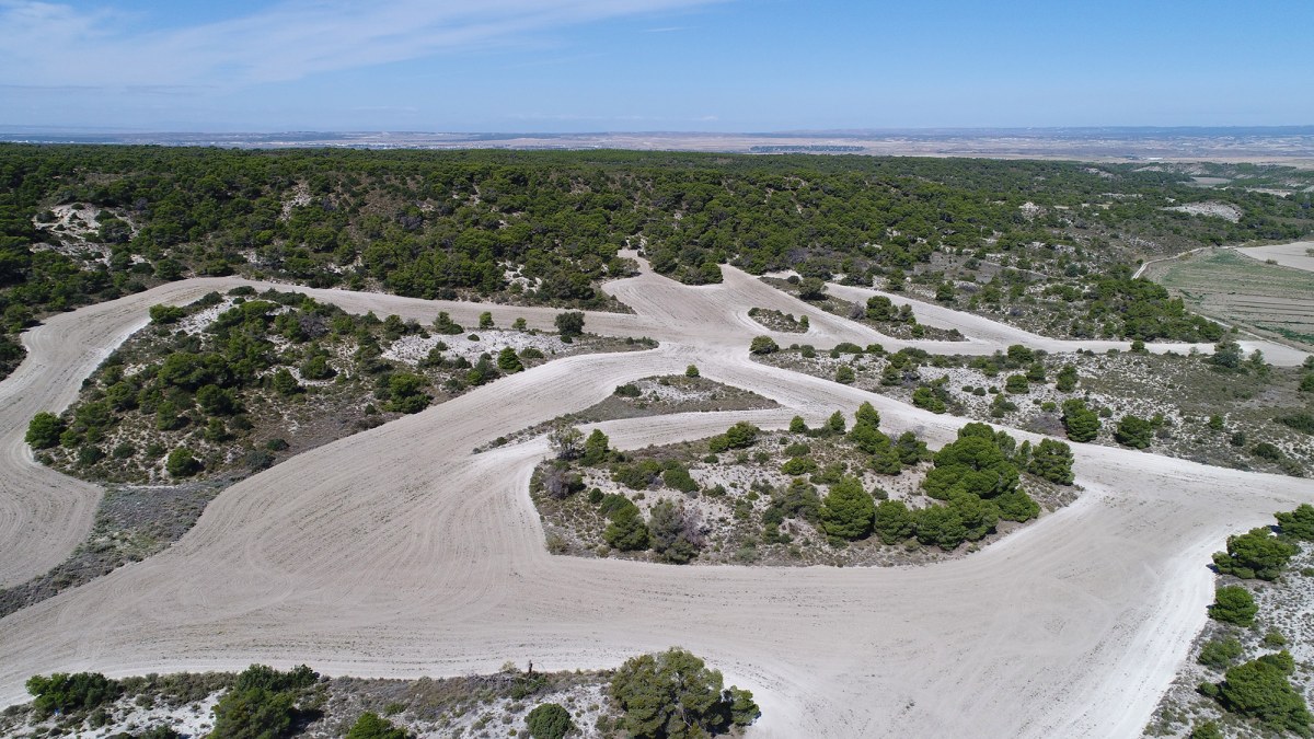 Vista aérea de una zona de plantación del Bosque de los Zaragozanos