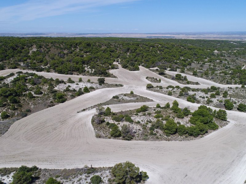 Vista aérea de una zona de plantación del Bosque de los Zaragozanos