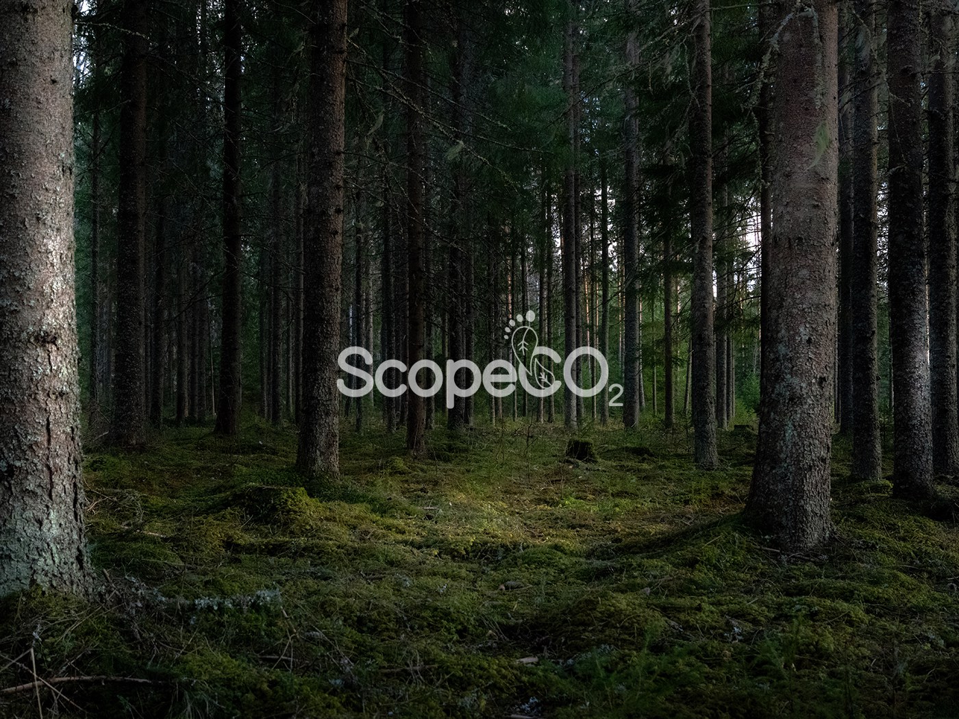 Scope CO2